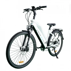 Bolzzen Macaw City | 250W | 48V 14Ah E-Bikes