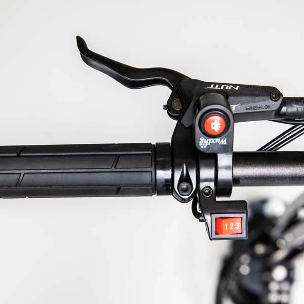 SHOP ALL WEPED FF 60V 30ah – Dual 10,800W – Stealth Black + PMT Tyres 4 SHOP ALL WEPED FF 60V 30ah – Dual 10,800W – Stealth Black + PMT Tyres