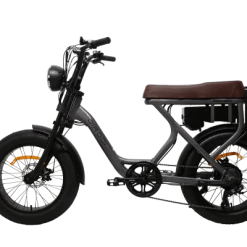 DiroDi Rover Vintage Style Modern Electric Bike 750W E-Bikes