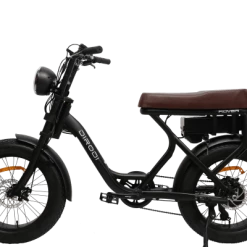 DiroDi Rover Vintage Style Modern Electric Bike 750W E-Bikes