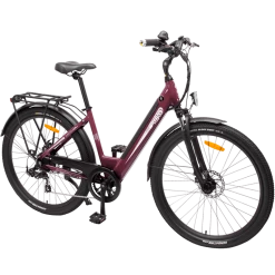 TEBCO Discovery E-Bikes
