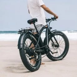 PedL E-Bikes & E-Scooters EL HEFE - 750W - CRUISER E-BIKE