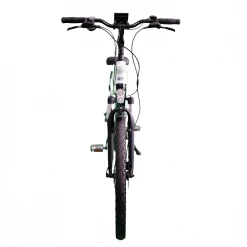 Bolzzen Macaw City | 250W | 48V 14Ah E-Bikes