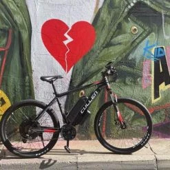 E-Bikes The Cullen E-bike-1000W 48V 13Ah (Pedal Assist & Throttle) Version 2