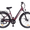 TEBCO Discovery E-Bikes 1 TEBCO Discovery E-Bikes