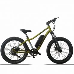 E-MONO 24″ ELECTRIC CRUISER BIKE SE-24B01 E-Bikes