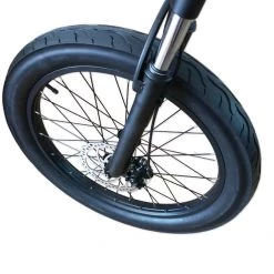 E-MONO 24″ ELECTRIC CRUISER BIKE SE-24B01 E-Bikes