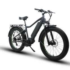 EUNORAU 48V1000W FAT-HD All Terrain Fat Tire Electric Mountain Bike Electric Hunting/Fishing Bike