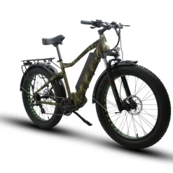 EUNORAU 48V1000W FAT-HD All Terrain Fat Tire Electric Mountain Bike Electric Hunting/Fishing Bike