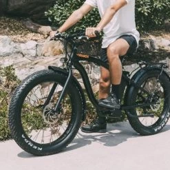 PedL E-Bikes & E-Scooters EL HEFE - 750W - CRUISER E-BIKE