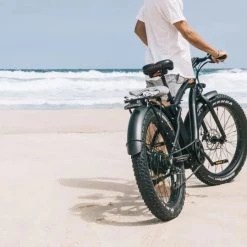 PedL E-Bikes & E-Scooters EL HEFE - 750W - CRUISER E-BIKE