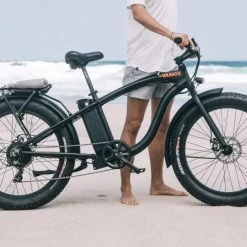 PedL E-Bikes & E-Scooters EL HEFE - 750W - CRUISER E-BIKE