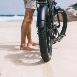 PedL E-Bikes & E-Scooters EL HEFE - 750W - CRUISER E-BIKE