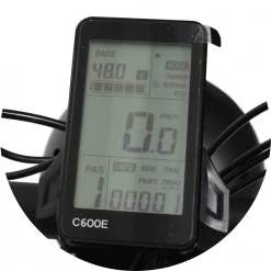 E-Bikes DiroDi Rover Vintage Style Modern Electric Bike 48V 250W