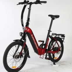 E-Bikes Smartmotion E-20