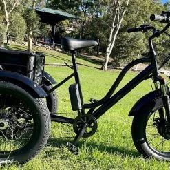PedL E-Bikes & E-Scooters KST Electric Trike Bike Fat Tire 48V20AH