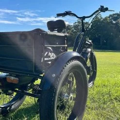 PedL E-Bikes & E-Scooters KST Electric Trike Bike Fat Tire 48V20AH