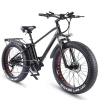 E-Bikes KRISTALL KS26 48V 750W FAT TIRE EBIKE