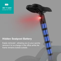 E-Bikes Fiido EBike D12 Sky Blue