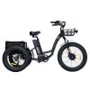Vamos Papa Grande Electric Trike Bike 500W E-Bikes